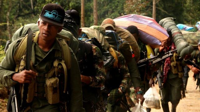 Militantes de las FARC caminando hacia zonas de normalización.