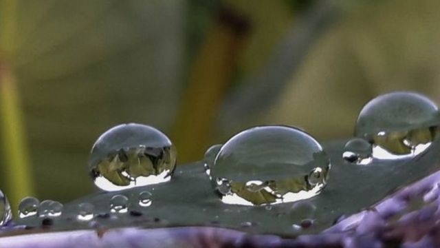 Imagem mostra gotas de água