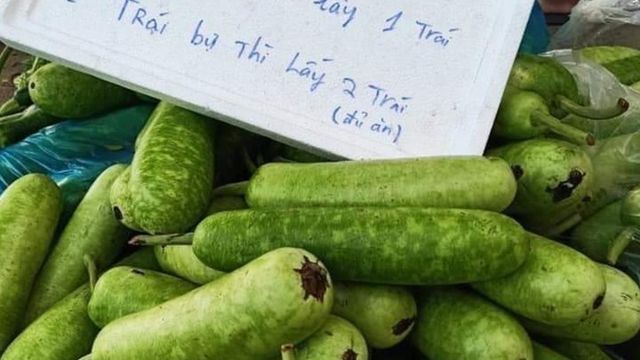 Bầu bí