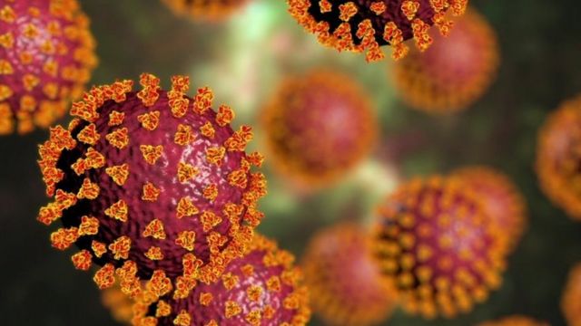 Se um número considerável de pessoas que já se contagiaram começar a testar positivo para covid-19, pode ser que esteja em circulação uma variante capaz de driblar os anticorpos produzidos pelo sistema imune após uma primeira infecção