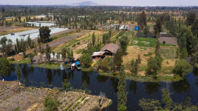 ஆஸ்டெக் பழங்குடியினரின் மிதக்கும் தோட்டங்கள்