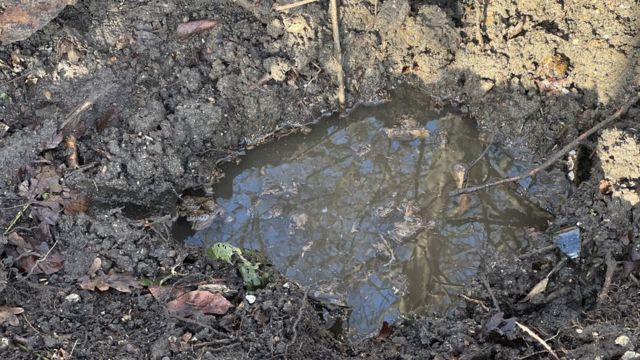 A hole in a field