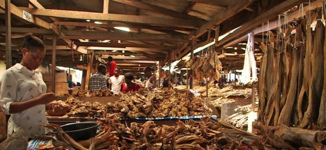 Dried Stockfish - The Tradition Lives On - Norwegian stockfish