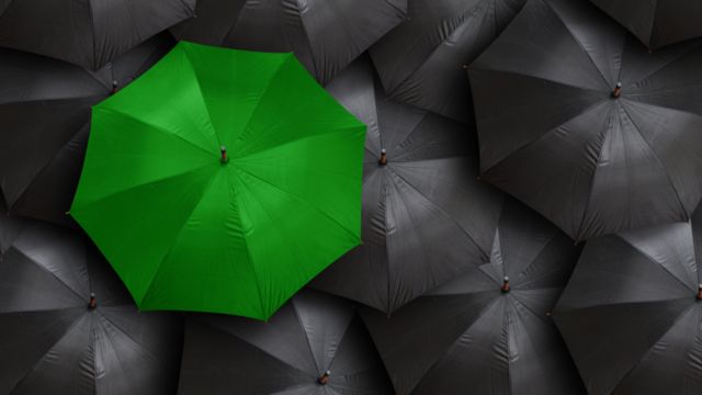 Guarda-chuva verde entre vários pretos