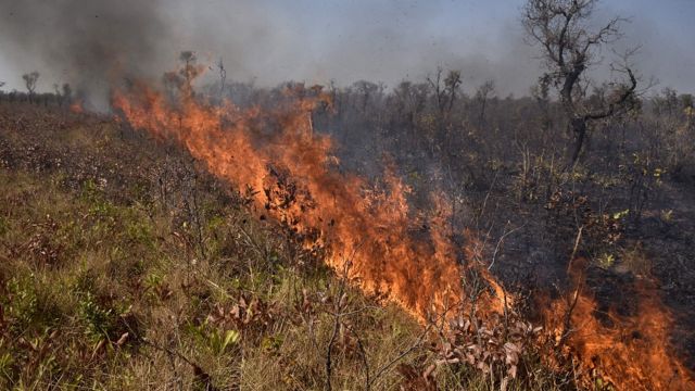 Incendio en un bosque en Bolivia