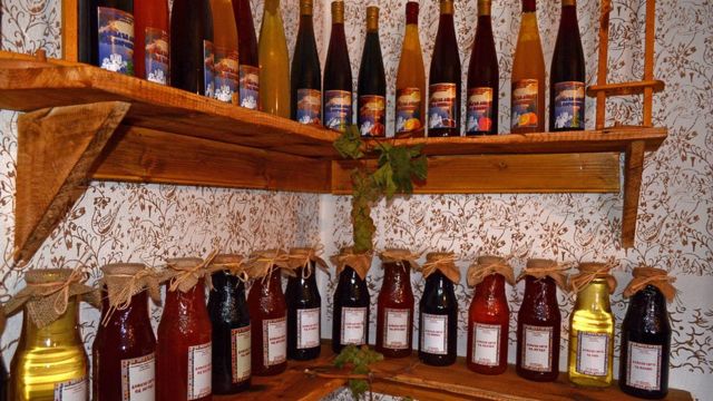 Svetlana likeri Marija Raca