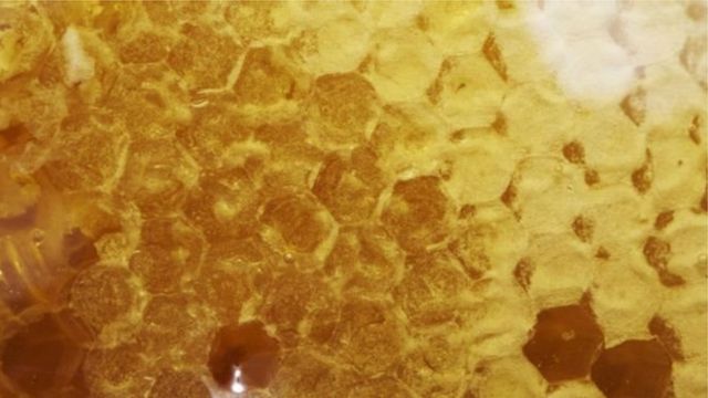 فؤائد العسل متعددة ومنها معالجة السعال