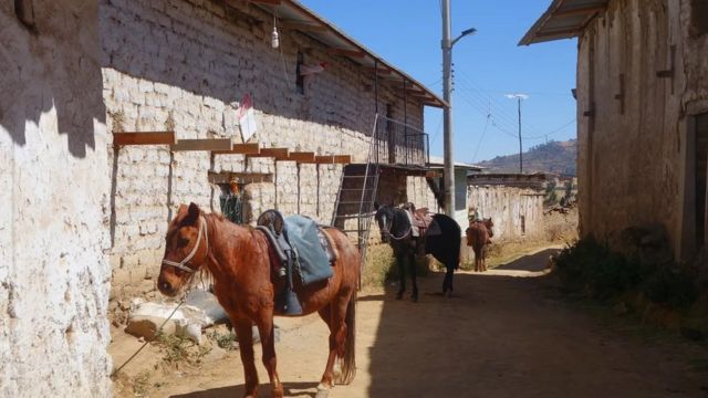 Los caballos listos para viajar en Huamantanga, el pueblo andino donde la gente usa las amunas.