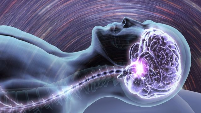 Ilustração com a silhueta de um homem adormecido e o cérebro e o sistema nervoso sobrepostos