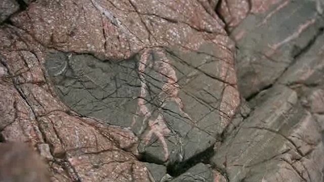 detalle de granito en roca gris