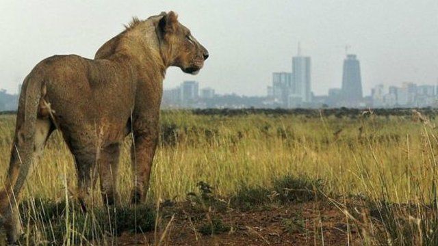 Inkuru z'intare zitoroka mw'ishamba zagumye zivugwa muri iyi misi iheze