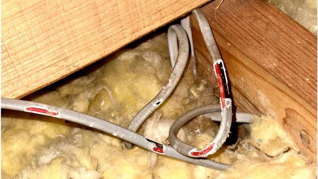 Welsh rat trap ban catastrophic, says pest controller - BBC News