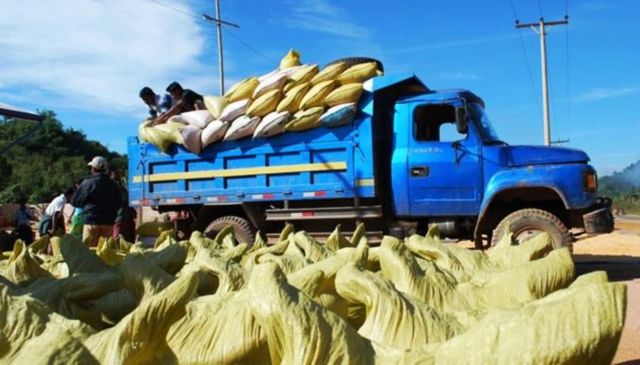 အိန္ဒိယကို မြန်မာပြည်က ၁ နှစ်ကို ပဲတန်ချိန် ၅ သိန်းကျော်ပို့နေ