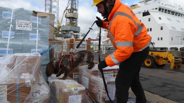 The British Antarctic Survey uses sniffer dogs to search for rats or mice aboard research vessels