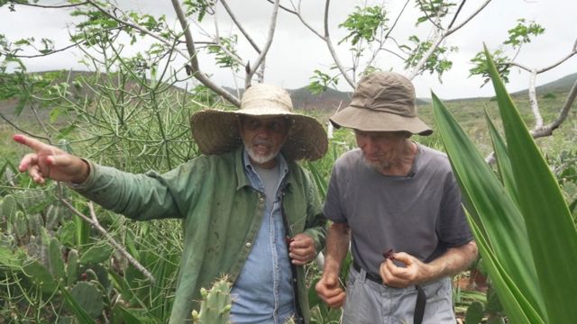 Deux personnes dans la forêt agroforestière de Caatinga.