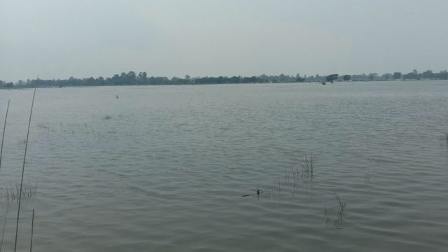 कैलालीको फाँटमा पसेको पानी