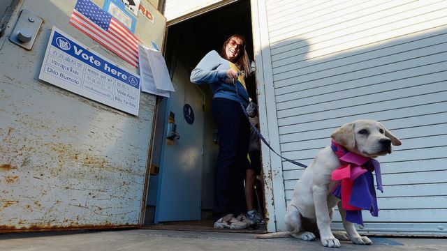 2012年、愛犬ロキシーを連れて投票所に向かったロサンゼルスのトレイシー・ブルーメンソールさん。