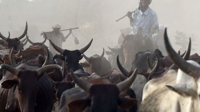 Shanu da Fulani