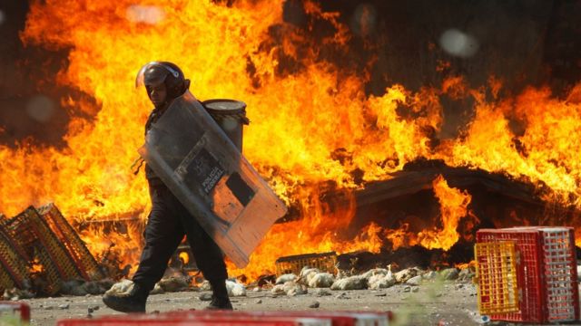 デモ参加者はニワトリを運ぶトラックに火を放った(19日)