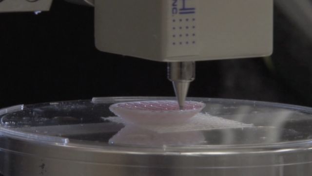 Печать испытательного образца почки на биопринтере