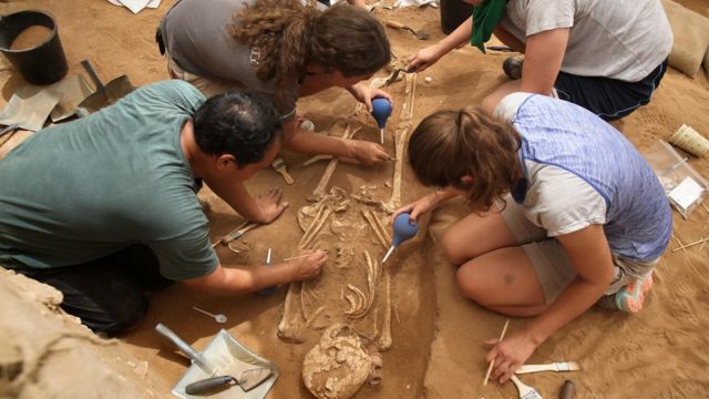 Un equipo de arqueólogos extrae esqueletos de la excavación del primer descubrimiento de un cementerio filisteo, el 28 de junio de 2016.