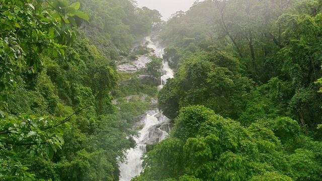 கோவை சுற்றுலா
