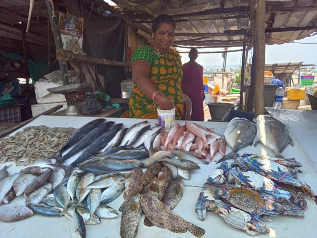 நொச்சிக்குப்பம்