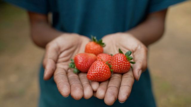 strawberi
