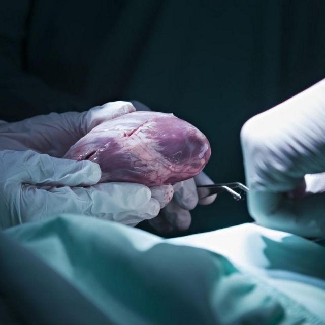 உயிர்காக்கும் மருத்துவம்