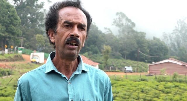 நீலகிரி, ட்ரௌட் மீன், பர்ன்ஃபூட் ஏரி