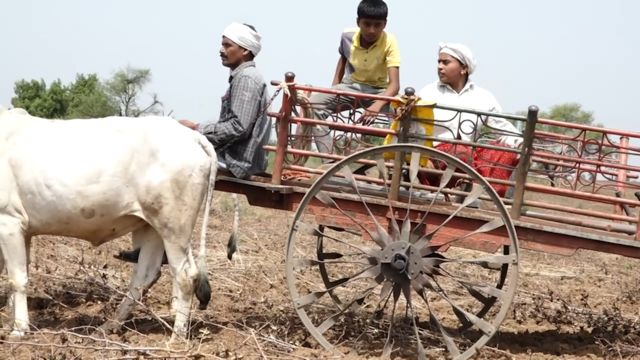 बाभुळकर कुटुंबीय