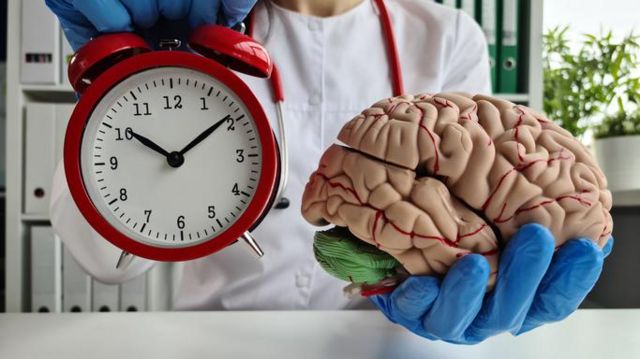Foto de médico segurando relógio e cérebro