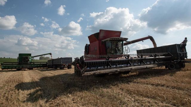 Thỏa thuận ngũ cốc đã giúp Ukraine xuất khẩu 33 triệu tấn ngũ cốc trong một năm