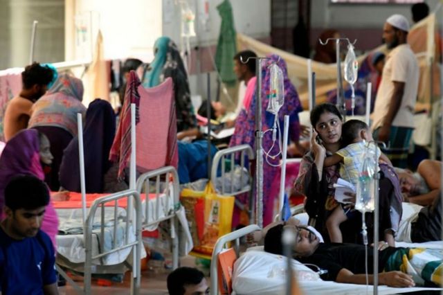 டெங்கு காய்ச்சல் பாதிப்பு