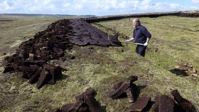Мужчина, копающий торфяные брикеты на Шетландских островах