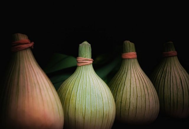 A row of large onions