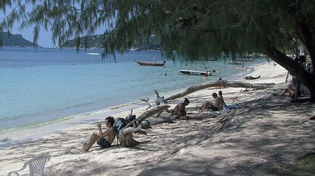 คนนั่งริมหาดบนเกาะเต่า