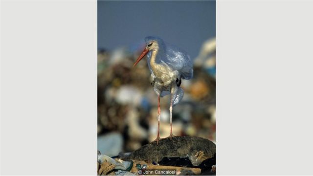 leylək plastik torbalar