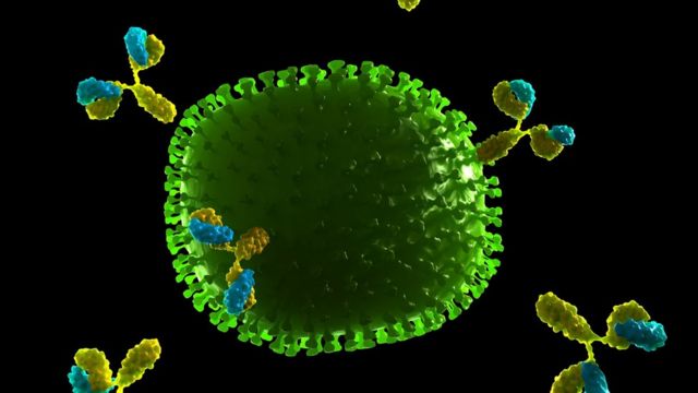 Anticuerpos atacando al virus de la gripe