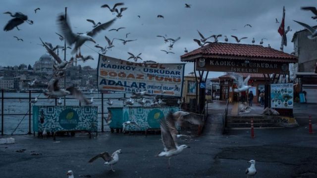Киши топураган Стамбулдун портунда азыр ак чардактар кожоюндук кылууда