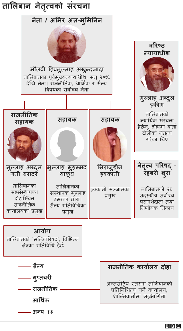 तालिबान