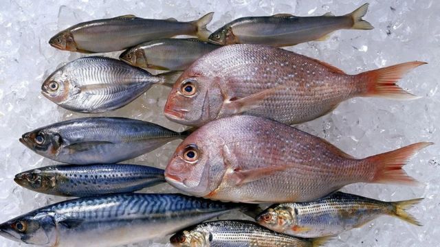 Is eating fish really good for health?