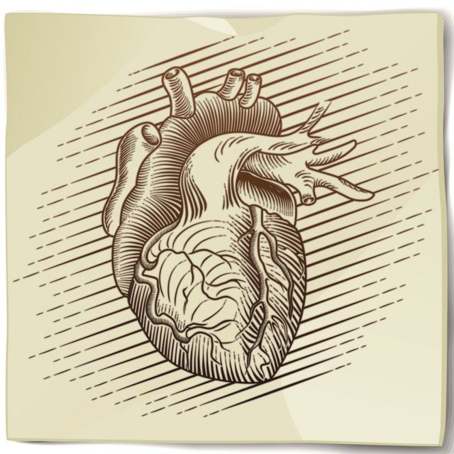 Ilustração de um coração