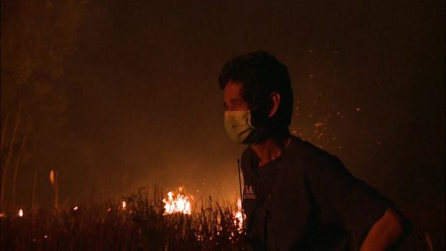 South East Asia Haze Why Are Peatlands Burning In Indonesia Bbc News 