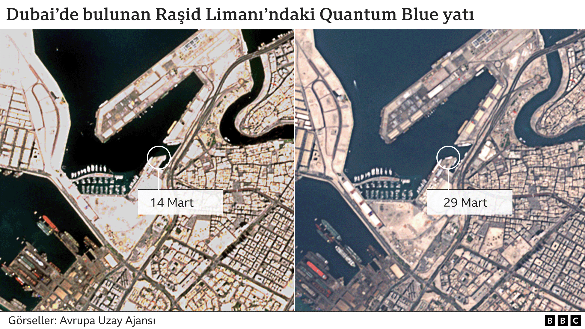 quantum_blue_before_and_after_2x640-nc.png