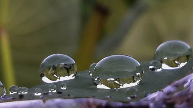 Gotas de lluvia