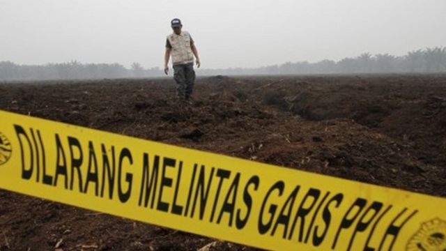 Kebakaran Hutan Dan Lahan Kian Meluas Dan Kabut Asap Semakin Parah ...