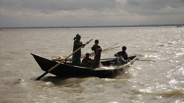 মাছ ধরছে জেলেরা।
