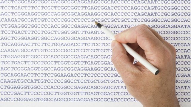 Mão com caneta em cima de papel com letras A G C T indicando blocos de sequências genéticas