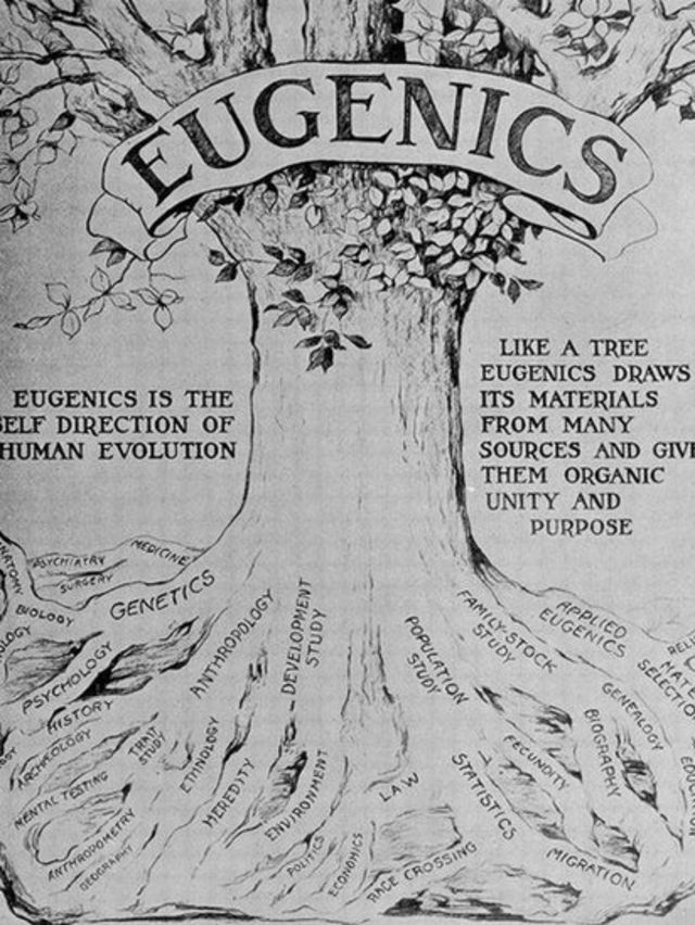 Poster de eugenesia